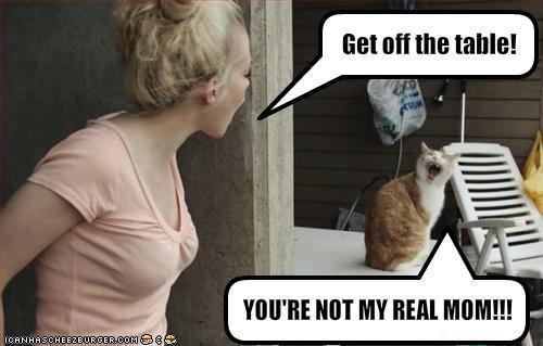 funnies-cat-yells-not-real-mom.jpg